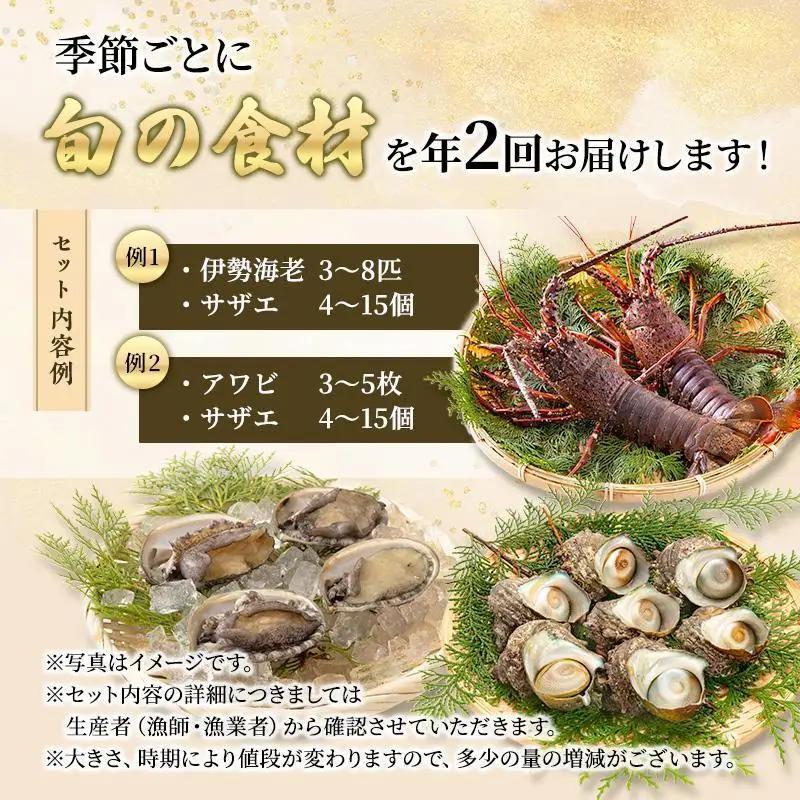 海鮮セット 年2回 定期便 アワビ 伊勢海老 刺身 海鮮セット