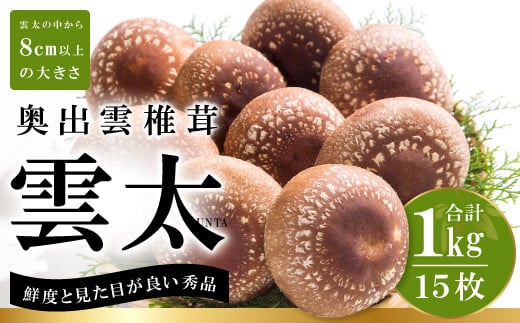 
            奥出雲椎茸「雲太」秀品 1kg【椎茸 生しいたけ 15枚 肉厚 希少 大きい 収穫直後 新鮮 菌床栽培 国産 きのこ キノコ 野菜 料理 食品 贈答用 特選 プレゼント 贈り物 ギフト】
          