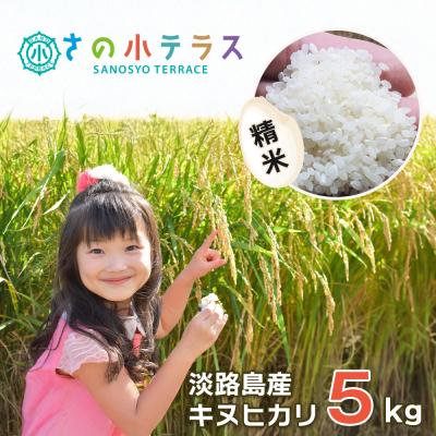 ふるさと納税 淡路市 淡路島産キヌヒカリ 5kg (精米)　as30008