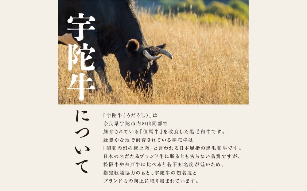 (チルド)宇陀牛　黒毛和牛　特選ロース　厚切ステーキ　4枚入約2kg／山繁 キャンプ バーベキュー アウトドア 父の日 母の日 奈良県 宇陀市 お中元 贈答用 贈り物 暑中見舞い お土産