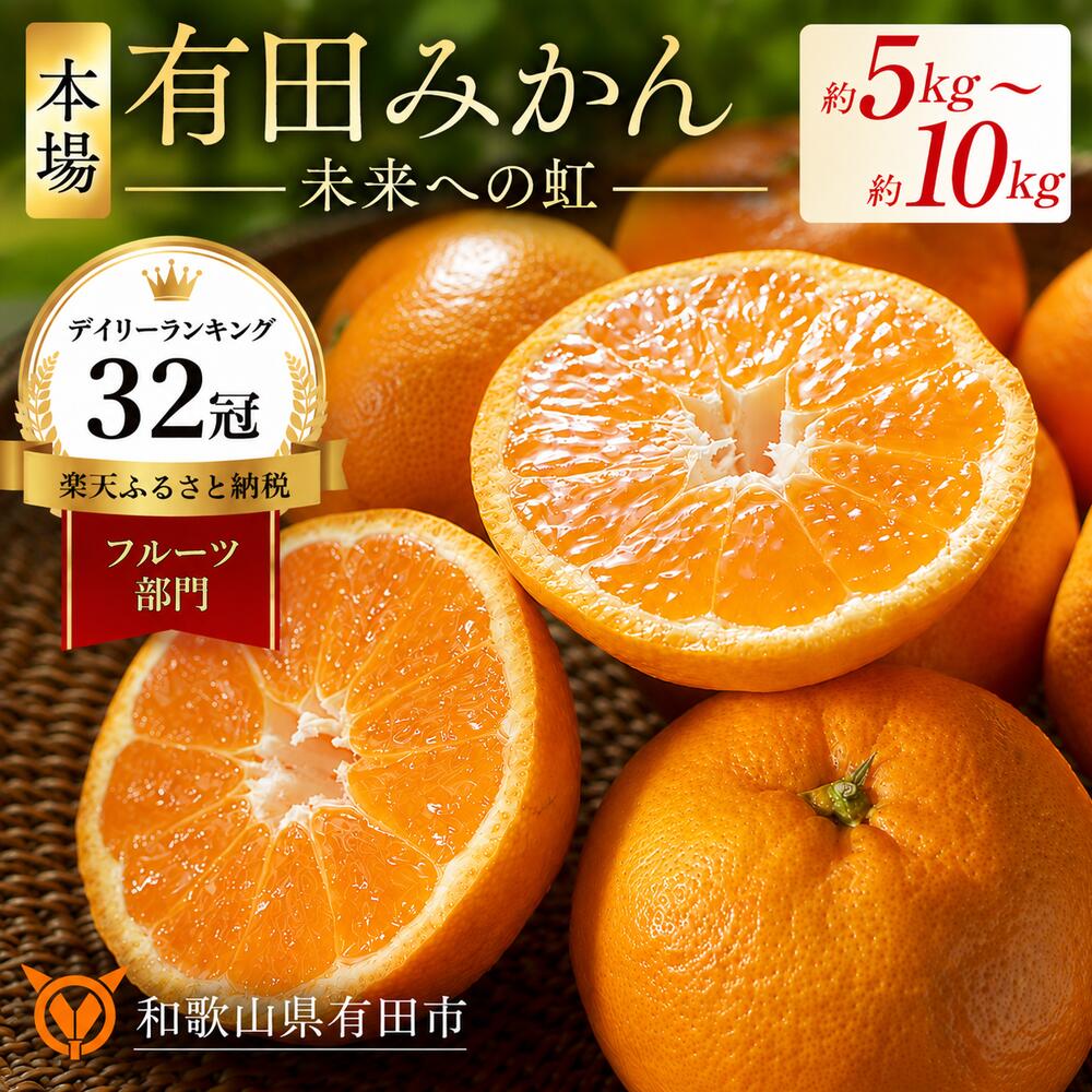 有田みかん「未来への虹」10kg 送料無料 産地直送