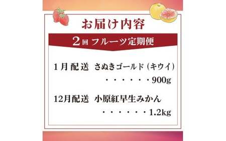 旬のフルーツ定期便 2回 Hコース フルーツ 定期便