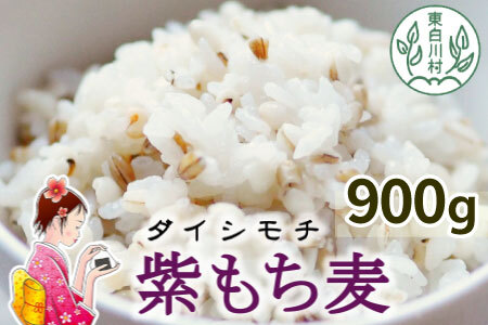 【令和7年度産】 東白川村産 紫もち麦 ダイシモチ 900g お米 こめ もち麦 雑穀 精米 ご飯 お取り寄せ