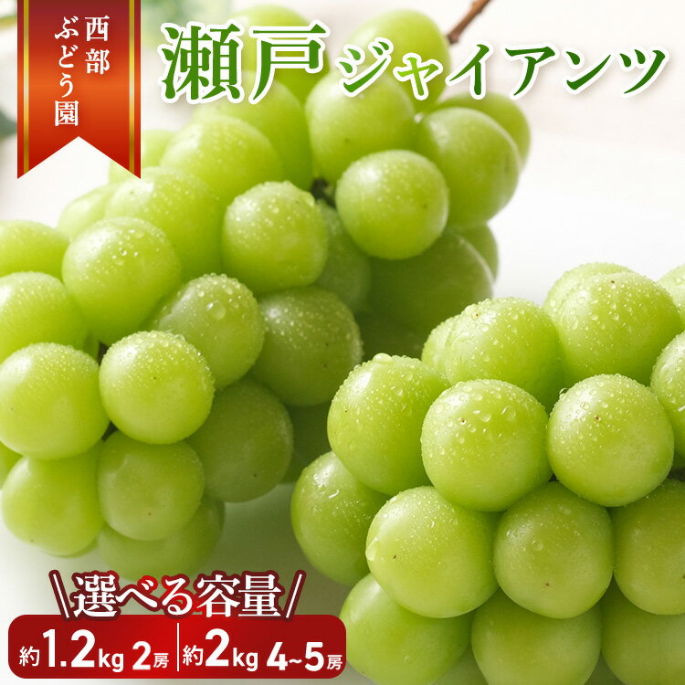 【ふるさと納税】【選べる内容量！】西部ぶどう園 瀬戸ジャイアンツ 4～5房 約2kg もしくは 2房 約1.2kg 葡萄 フルーツ 果物【 皮ごと パリッ 美味しい 白ぶどう 高糖度 詰合せ 】 ※沖縄・離島への配送不可 ※2025年9月下旬～10月下旬頃に順次発送予定