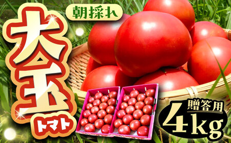 【先行予約】大玉トマト(贈答用) 4kg 産地直送 とまと トマト【7月より順次発送】 恵那市 / クリエイティブファーマーズ[AUAH013]