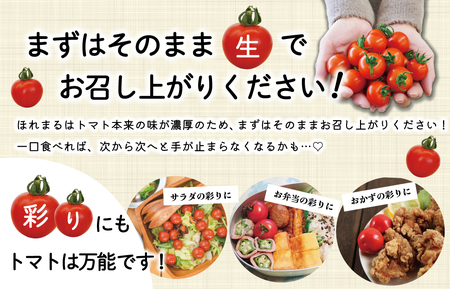 明和町産 完熟 トマト ほれまる とパウンドケーキ の セット 絶品 美味しい 野菜の甘み ミニトマト 朝採り 新鮮 生鮮 野菜 あっさり お菓子 洋菓子 おやつ スイーツ おすすめ