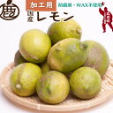 【ふるさと納税】 加工用 黒潮レモン 【 和歌山 有田産 】 【 防腐剤 WAX不使用 安心の国産レモン 】 【 わけあり 訳あり レモン 】 【 果汁用 】 ＜9月上旬頃〜4月下旬頃に順次発送予定＞ ※北海道・沖縄・離島への配送不可 / 檸檬 くだもの 果実 柑橘 果物 //lemon