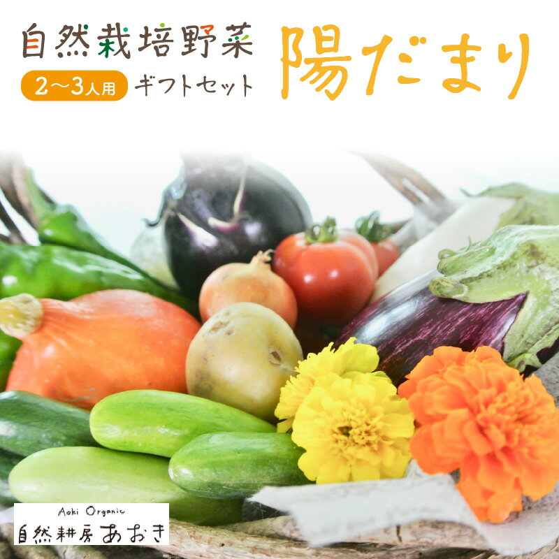 【ふるさと納税】【数量限定】自然栽培野菜セット（陽だまり）5〜7種 2〜3人用 ふるさと納税 野菜 自然栽培 旬野菜 季節 セット 詰め合わせ 百貨店 ホテル 栽培期間中 農薬 化学肥料 京都 産地直送 やさい 野菜セット おまかせ おすすめ 美味しい 自然 色鮮やか 甘み
