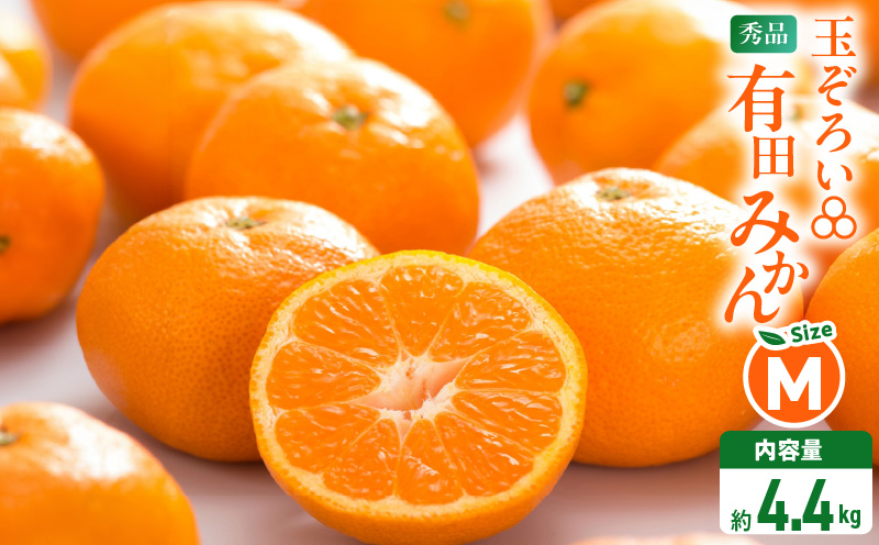MK1044_2月28日終了！ 最短出荷すぐ届く！みかん Ｍサイズ 秀品 箱込 5kg ( 内容量 4.4kg ) 有田みかん 和歌山県産 産地直送 贈答用 【みかんの会】