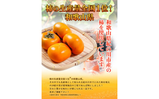 あんぽ柿大10個セット紀の里農業協同組合《90日以内に出荷予定(土日祝除く)》柿果物フルーツ---wsk_jakanpo_90d_22_12000_10c---