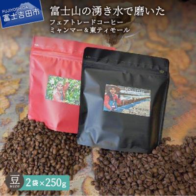 ふるさと納税 富士吉田市 フェアトレードコーヒー豆250g×2種計500g ミャンマー&amp;東ティモールSDgs富士山の湧き水珈琲