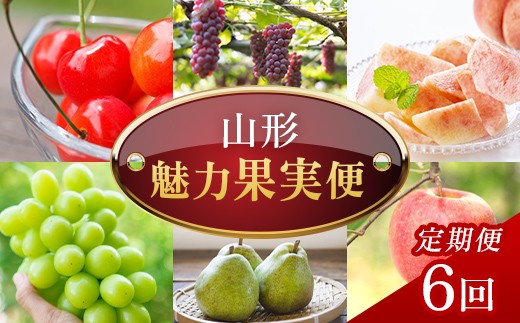 【定期便6回】山形魅力果実便 FSY-2766