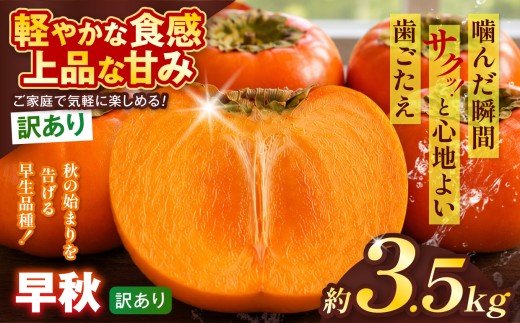 【訳あり品】 早秋 柿 12～14個／3.5kg ( 1箱 ) 先行予約 令和8年10月中旬順次発送 |【希少柿を贅沢に楽しむ】 柿 早秋 フルーツ 果物 完熟 国産 国産 季節の果物 家庭用 自宅用 訳 あり わけあり 加工用 料理用 大容量 岐阜県 本巣郡 北方町