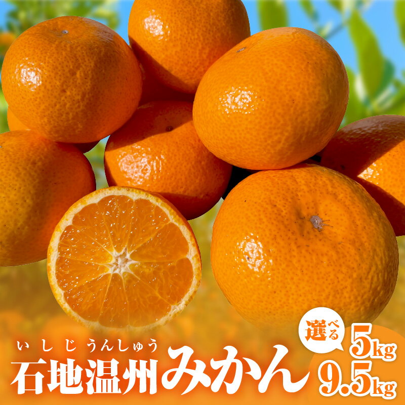 【ふるさと納税】ミカファーム 石地温州みかん 5kg 9.5kg 希少品種 三重県御浜町産【樹上で完熟させた、甘くてコクのあるみかん】