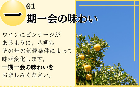 果汁 ジュース 八朔ジュース オレンジジュース  ドリンク セット 有機 無添加 100% / きみの八朔ジュース 180mL×6本【kmf006】