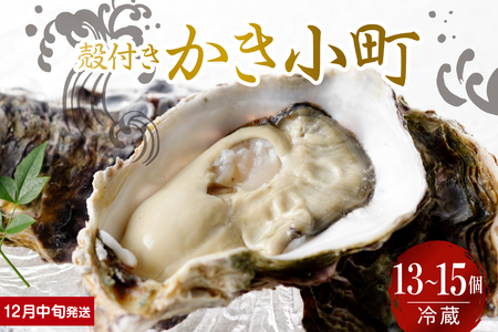 【2025年12月中旬発送】宮原水産 かき小町 殻付き 13～15個 冷蔵 国産 広島県産 牡蠣 かき 生かき 生牡蠣 お取り寄せ 送料無料 広島県 呉市 ku005-012-12-2-25