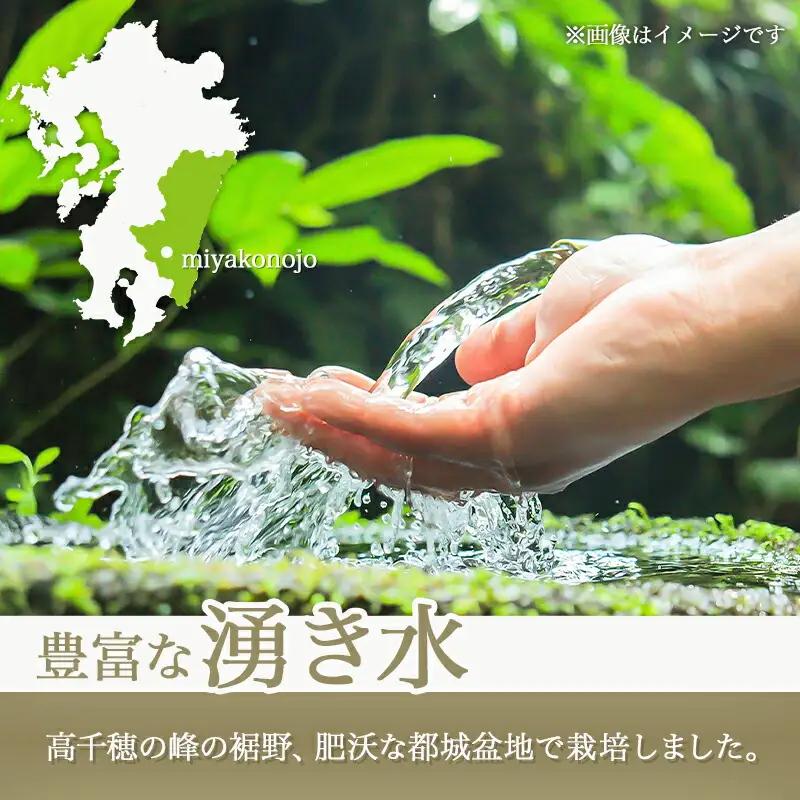 都城産ひのひかりギフトBOX (450g×6個)〔AC-2203〕_(都城市)ヒノヒカリ 450g 小分けパック 6個セット 真空パック包装