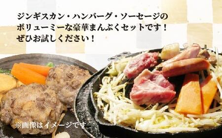 えぞ鹿肉セットB  SKF004