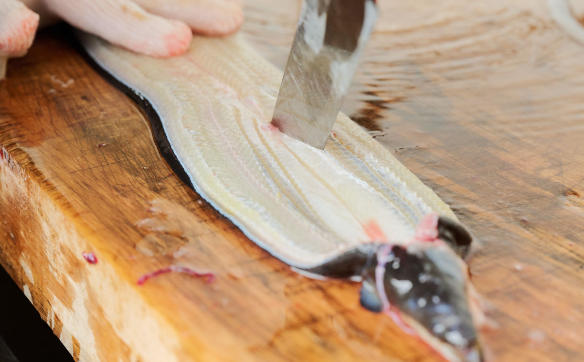 【職人手焼き】国産特大うなぎ白焼1尾(約170g前後)【国産 うなぎ 鰻 ウナギ 極上 白焼き 香ばしい 旨味 スタミナ 抹茶塩 山椒】(H097109)