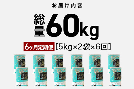 【6ヶ月定期便】令和7年産 新米 コシヒカリ 米 10kg (5kg×2袋) 計60kg 白米 こめ こしひかり 国産 国産米 取り寄せ ごはん ご飯 コメ お取り寄せ お弁当 弁当 おにぎり 産地直