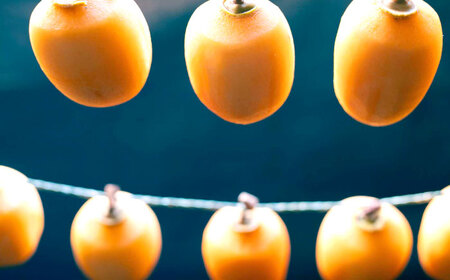 西条柿のドライフルーツと干し柿Lのセット　《23014-11》