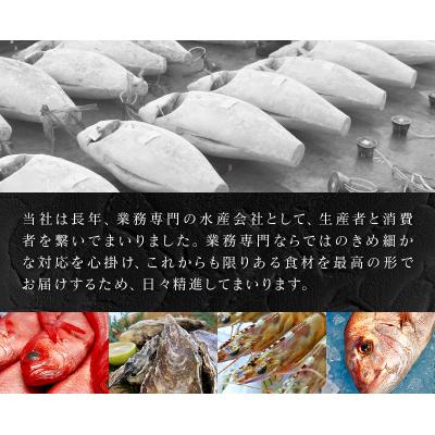 ふるさと納税 焼津市 【定期便6回】キボシ水産 天然南鮪 大トロ 中トロ 赤身食べ比べ約1kg×6回(b200-035) |  | 03