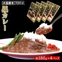 【ふるさと納税】大田原牛 100％ 黒カレー 4パックセット | レトルト カレー 和牛 牛肉 ビーフカレー 高級 | 食品 加工食品 人気 おすすめ 送料無料