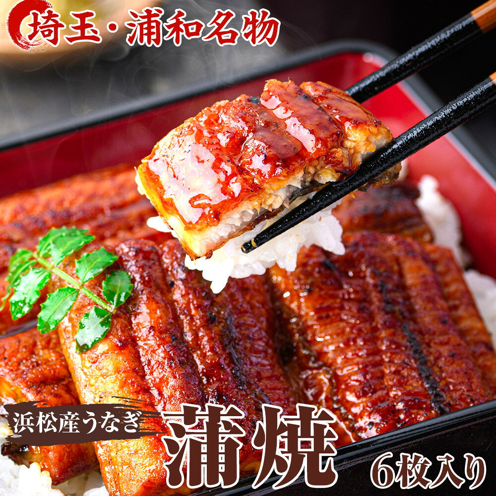 【ふるさと納税】【中村家】浜松産うなぎ　かば焼　6枚入【11100-0152】 | うなぎ 国産 浜松産 鰻 ウナギ 蒲焼 土用 丑の日 ふわとろ 秘伝のタレ 浦和のうなぎ 浦和のうなぎを育てる会 埼玉県 さいたま市 浦和 中村家