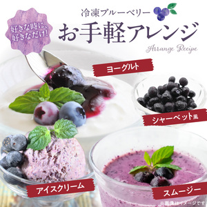 冷凍ブルーベリー 1kg_冷凍 ブルーベリー １kg 完熟 自家農園 ミキサー アイス ヨーグルト シャーベット スムージー アントシアニン 疲れ目 腸内環境 国産 ジャム レシピ 冷凍フルーツ 果物