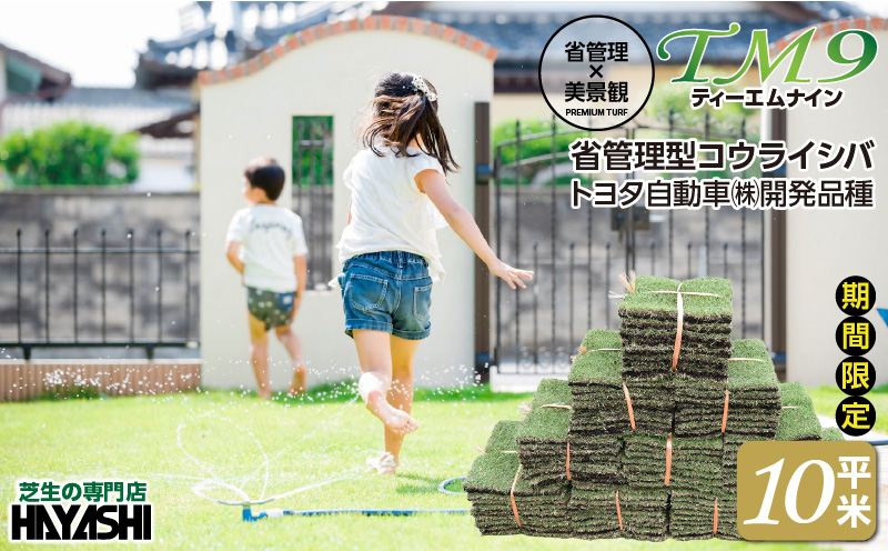 TM9（ティーエムナイン）省管理型コウライシバ トヨタ自動車(株)開発品種 10平米　KN080-007-03