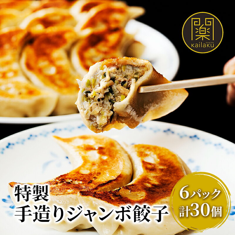 【ふるさと納税】開楽特製　手作りジャンボ餃子 6パック 計30個　餃子 ぎょうざ ギョーザ 手作り餃子 手作り 老舗 冷凍 焼くだけ 簡単 時短 おかず おつまみ グルメ お取り寄せ 豊島区 東京都 加工品 惣菜