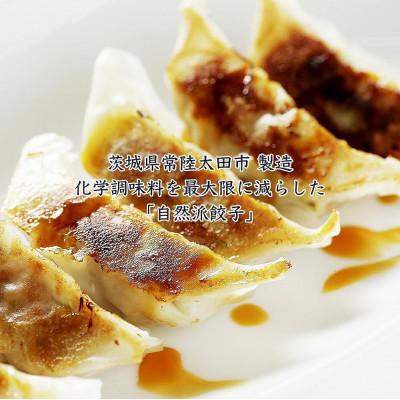 ふるさと納税 常陸太田市 無添加野菜を使用したなごみ家 冷凍生餃子 52個(にんにくあり 13個入り×4パック) |  | 02