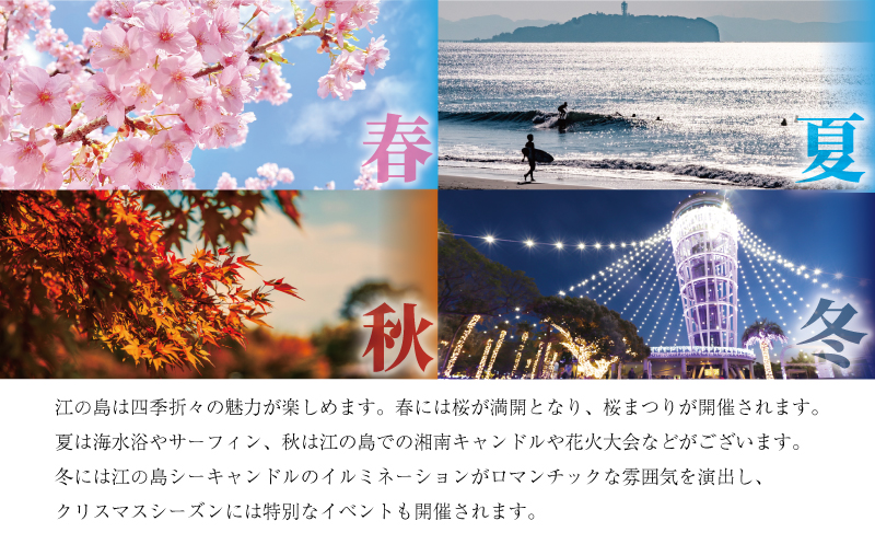 チーズケーキ 1ホール × 2 計 2ホール 6号 ケーキ 御所見塚チーズケーキ デザート チーズ 菓子 お菓子 焼き菓子 洋菓子 スイーツ おやつ ちーずけーき 人気 お取り寄せ バナナマン せっか