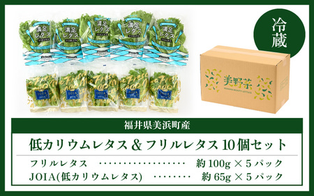 【福井県美浜町産】低カリウムレタス&フリルレタス　計10個セット【野菜 生野菜 レタス サラダ サンドイッチ お弁当 水耕栽培 洗わず食べられる 時短 付け合わせ ダイエット ヘルシー】レタス フリル