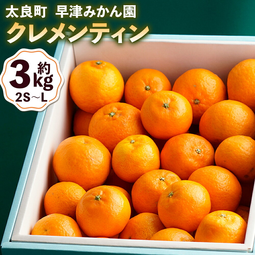 【ふるさと納税】早津みかん園のクレメンティン 3kg 【2027年1月上旬～2月下旬まで順次発送予定】 クレメンティン ヨーロッパ生まれ 太良みかん みかん ミカン 蜜柑 フルーツ くだもの 果物 太良町 国産　L29x1x1