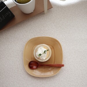 【美濃焼】 プレーリー マスタード カップL プレートS　2客セット 瑞浪市 / JS企画 小田陶器 セット 食器 コップ カップ プレート 皿 小皿 マグカップ マグ [AZAZ256]