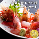 【ふるさと納税】 山陰 地エビ 2種 食べ比べ セット 計 1kg 以上 （ 甘エビ ガラエビ ） 【 ガラエビ ドロエビ 甘エビ エビ 海鮮 海の幸 海産物 兵庫 兵庫県産 漁港 産地直送 刺身 小分け 500g 2袋 冷凍 えび 流水解凍 】