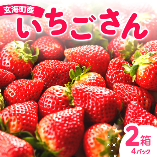 ★予約受付★平川いちご農園 佐賀県玄海町産いちご「いちごさんDX」12月～5月順次配送 ／ 送料無料 いちご さがほのか いちごさん 希少 果物 くだもの フルーツ デザート 予約受付