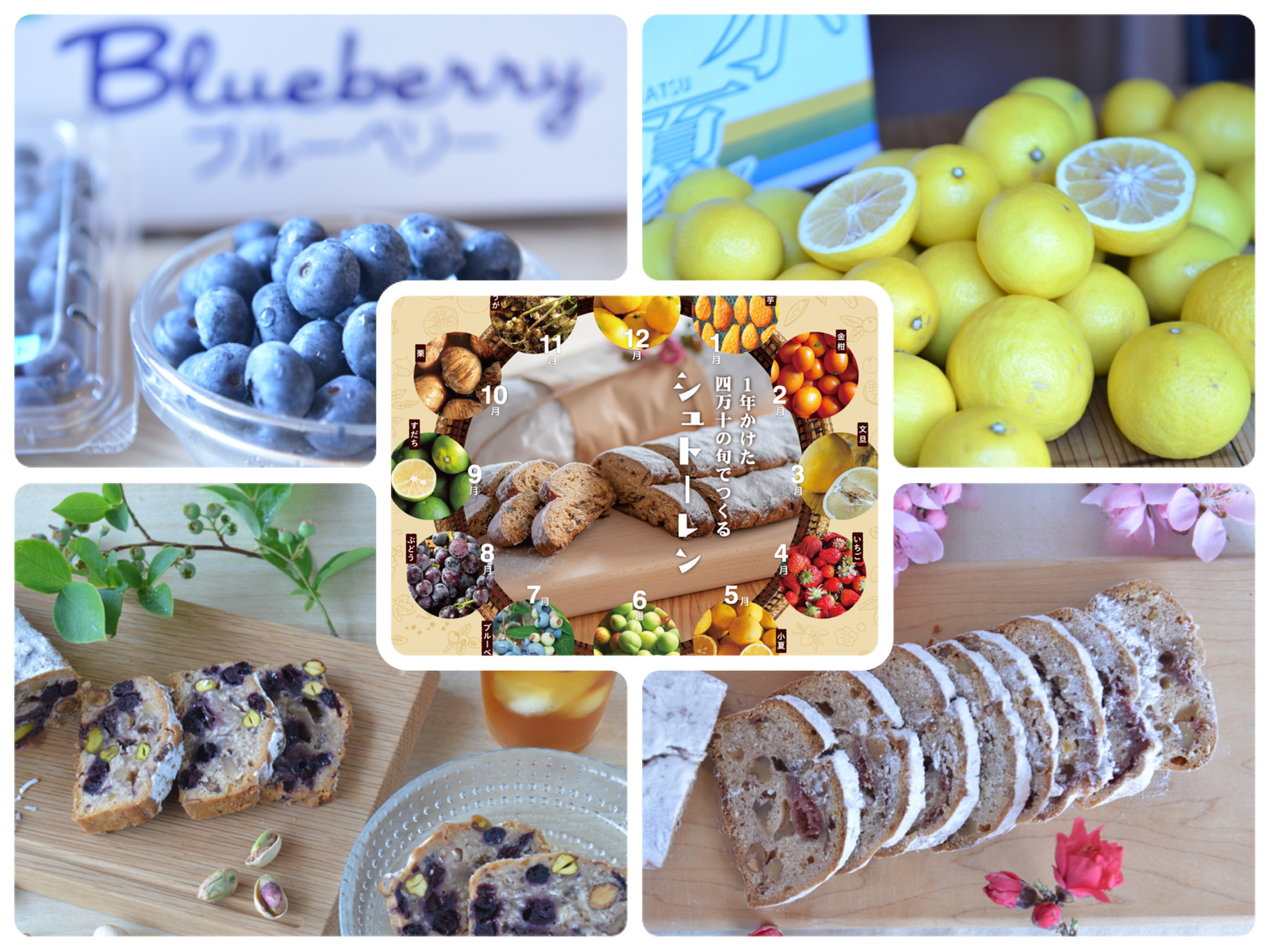 
            【全６回】四万十の旬のシュトーレンと果実の1年定期便 ／タルト たると スイーツ お菓子 洋菓子 冬 クリスマス プレゼント ギフト ケーキ パン Sikg-Z09
          