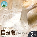 【ふるさと納税】自然薯 元気ばりばり 2kg 2〜3本 ヤマイモ とろろ じょよ ねばり 滋養 栄養価 食物繊維 ビタミンE レシピ同封 ご飯 麦とろ おつまみ 鉄板焼き 国産 お取り寄せ 食品 宮崎県 延岡市 送料無料