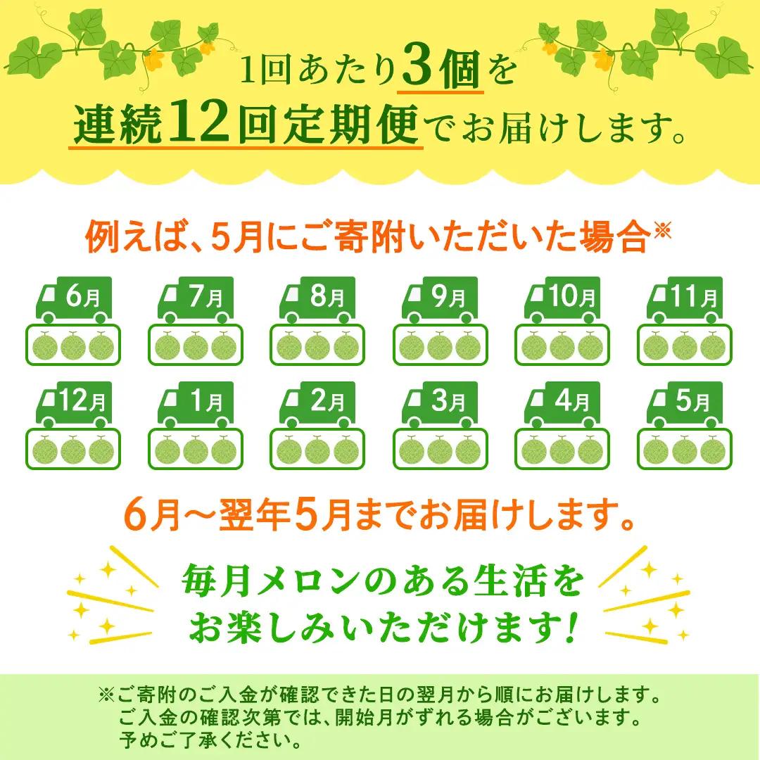 【定期便】 アールスメロン 3玉 × 12か月連続