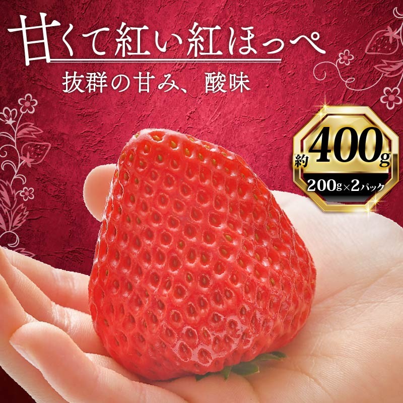 
                  【1月から順次発送開始】 いちご 紅ほっぺ 計 400g 計 2 パック 高級 イチゴ 苺 セット べにほっぺ  2 パック 200g × 2 パック フルーツ 期間限定 数量限定 苺 イチゴ ベリー フルーツ スイーツ デザート 果物 果汁 ストロベリー 甘い  国産 安心 濃厚 新鮮  贈答用 プレゼント くだもの お歳暮 静岡いちご 静岡苺 静岡県 牧之原市 畠農宝
                