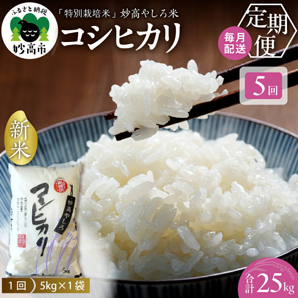 【ふるさと納税】 令和7年産 米 定期便【5ヵ月】 新潟県 コシヒカリ 25kg ( 5kg × 5回 ) 妙高やしろ米 定期便 お米 米 コメ 精米 米どころ こめ ご飯 ごはん ライス 弁当 2025年産 新潟県 妙高市