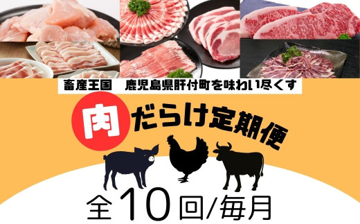 F90001 ＜定期便・全10回＞肝付町セレクト定期便《肉だらけ定期便C》 鹿児島  牛肉 黒毛和牛 豚肉 黒豚 鶏肉 唐揚げ  味付け 定期便 セレクト 加工品 肉加工品 簡単調理 冷凍 冷凍食品 【株式会社きもつき未来商社そらまち】