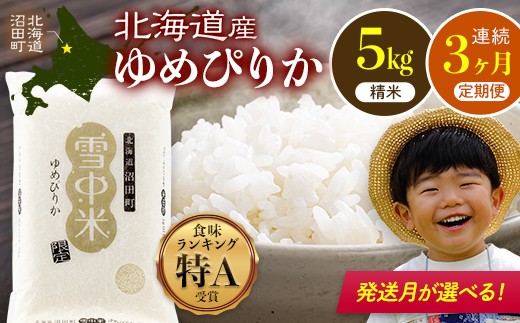 
                  令和8年産 【定期便3ヶ月】 特Aランク米 ゆめぴりか 精米 5kg（5kg×1袋）【発送月が選べる】雪冷気 籾貯蔵 雪中米 北海道 nr-1658var
                