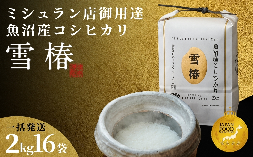 【寄付額見直し】【令和7年産】魚沼産コシヒカリ 雪椿 32kg(2kg×16袋) 特別栽培米127527-012-sub