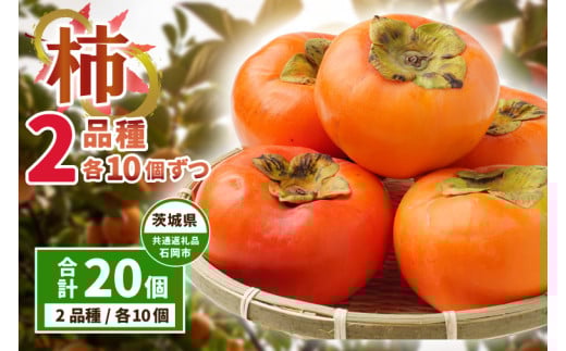 柿の食べ比べ　2品種×10個ずつ　県内共通返礼品 (BR125)