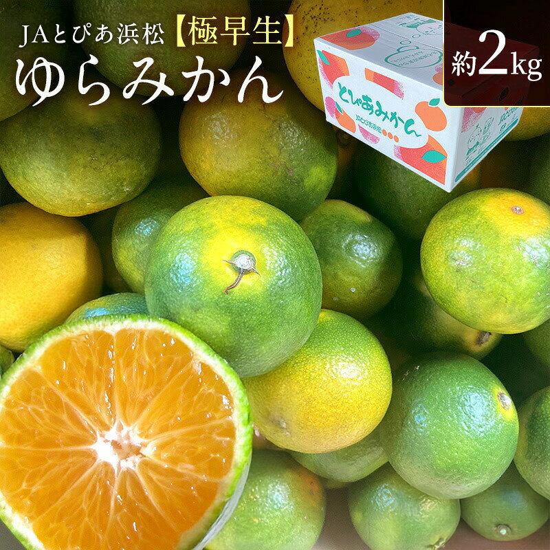 【ふるさと納税】JAとぴあ浜松 極早生 ゆらみかん 約2kg (約20～30個) とぴあ みかん ゆら早生みかん ごくわせ 美味しい 静岡 浜松市　お届け：2026年10月上旬～11月中旬頃