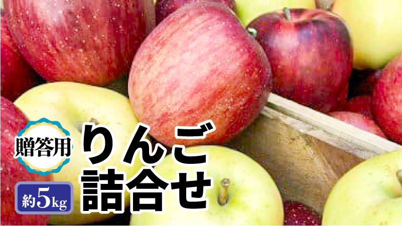 12月 田子の贈答用りんご詰合せ約5kg（14～18玉程度）山市美貴子さん生産直送