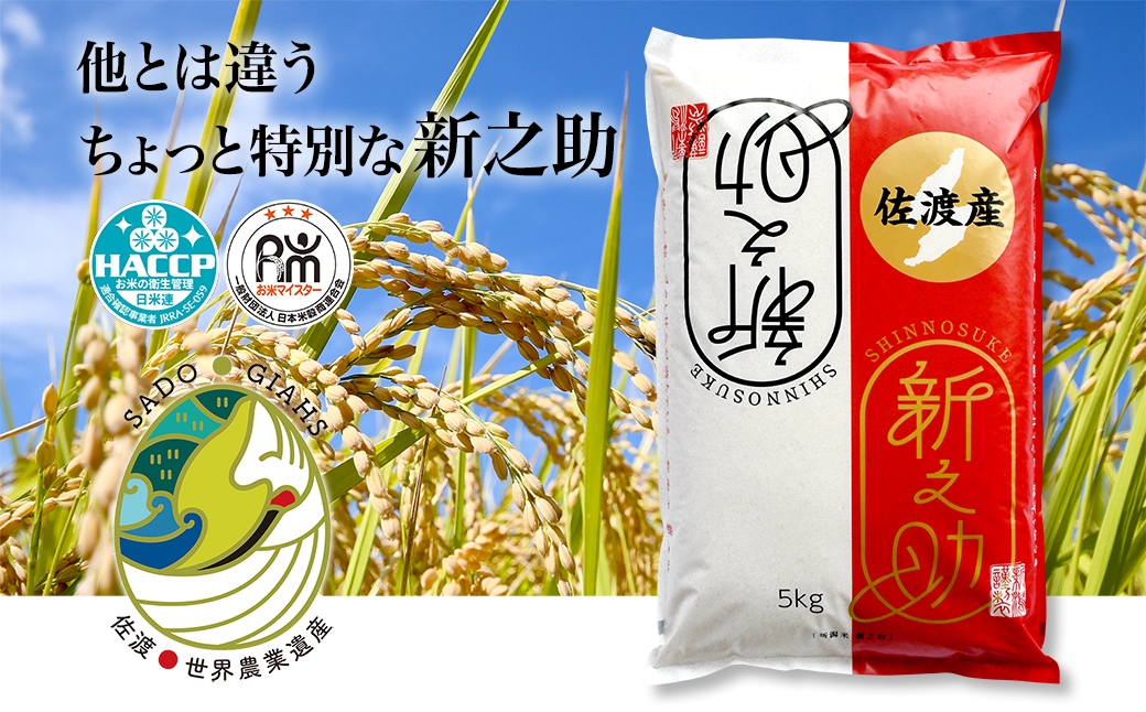 
            新潟県佐渡市産 新之助 精米 5kg【令和7年米】
          